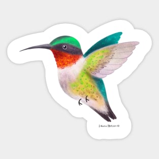 Hummingbird Sticker
